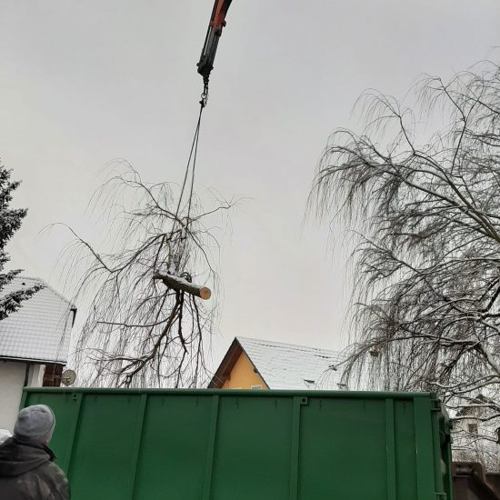 Baumabtragung_3