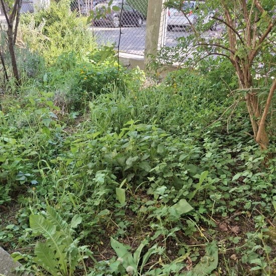 Gartenpflege_2