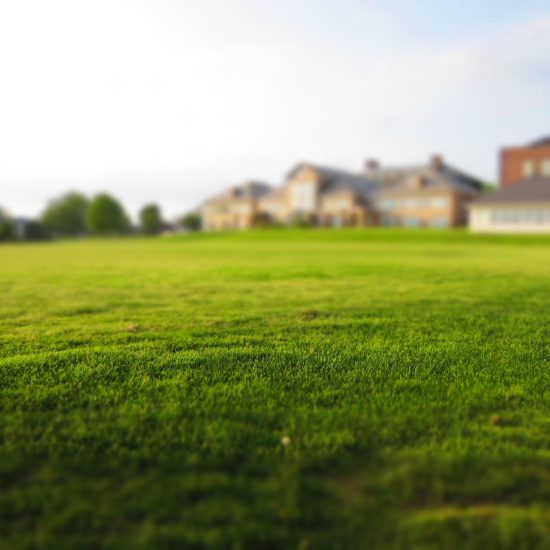 freenaturestock-lawn-768316_1920